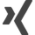 Xing Logo grau
